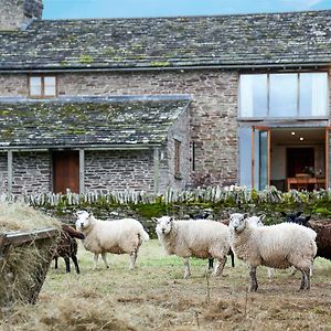 Llan-Y-Coed Farm Stay
